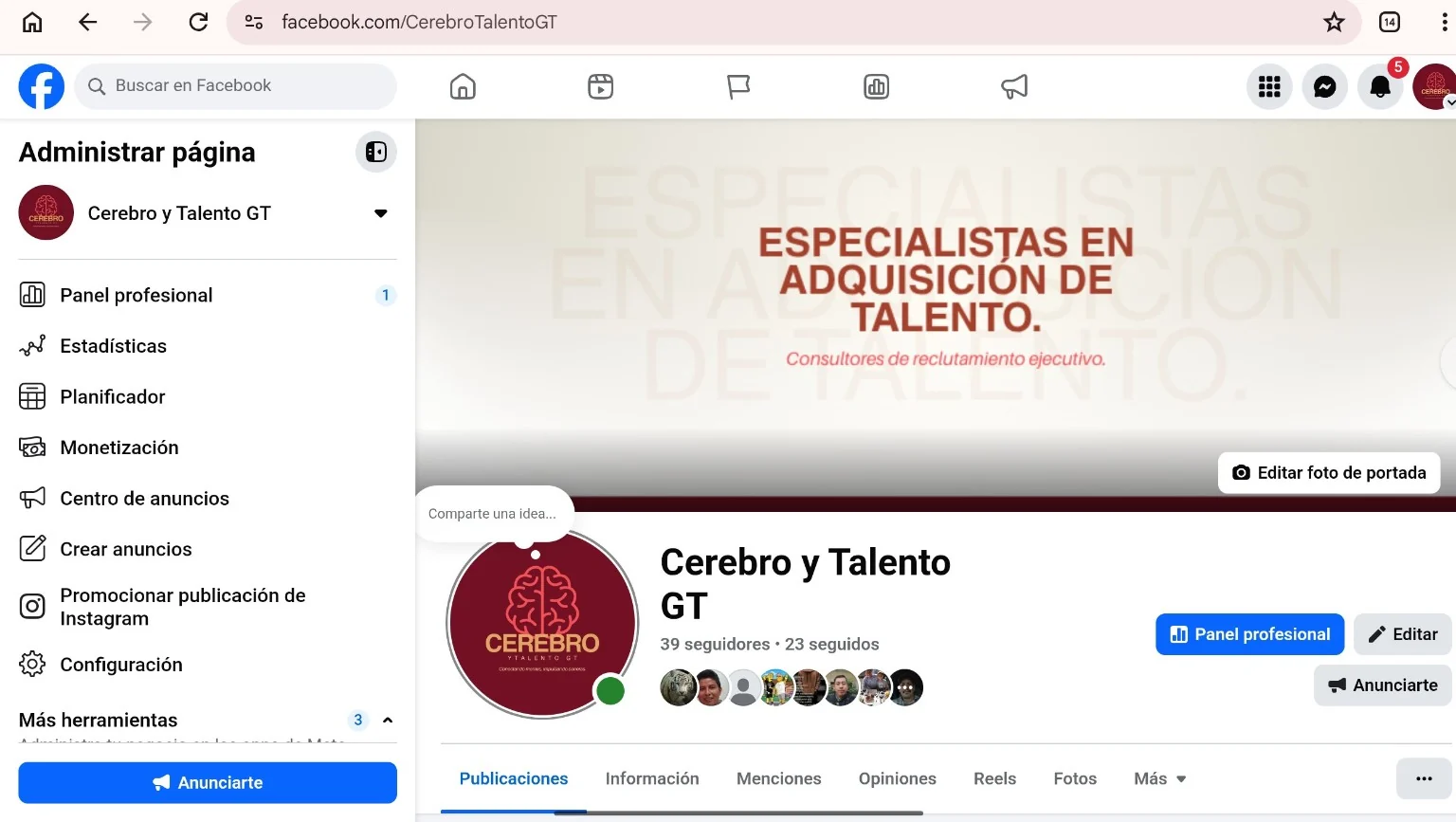 Cerebro y Talento GT